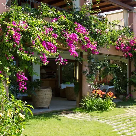 Mariposas