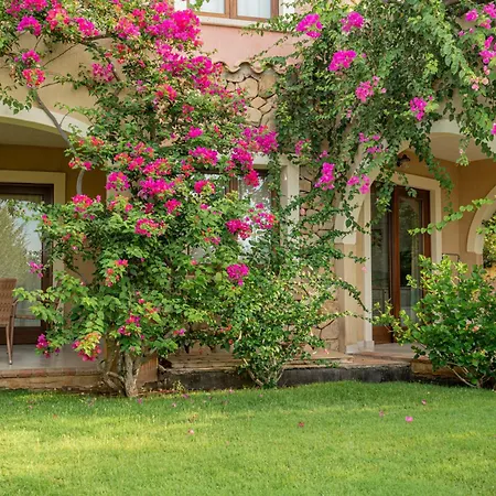 Mariposas Villasimius